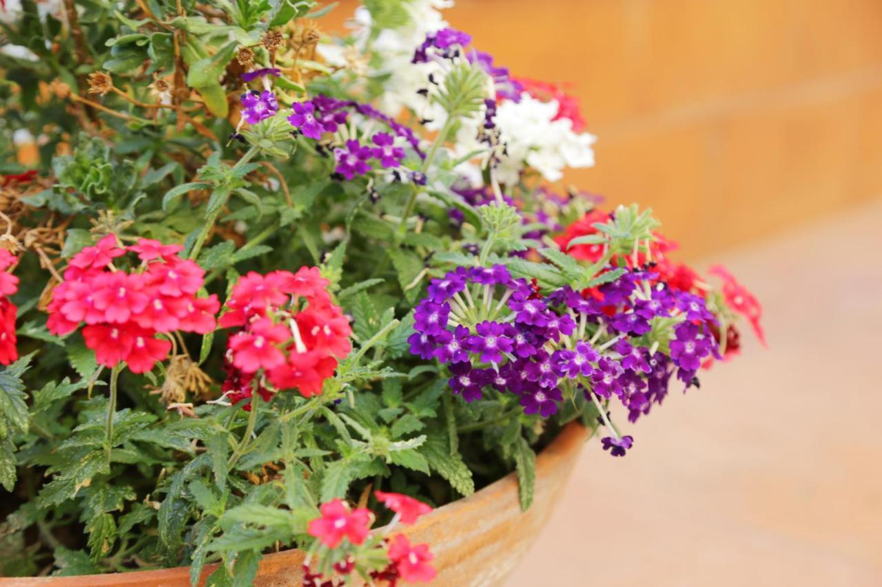 Casa Rosaria Amalfi Coast Bed & Breakfast Vietri sul Mare Exterior photo